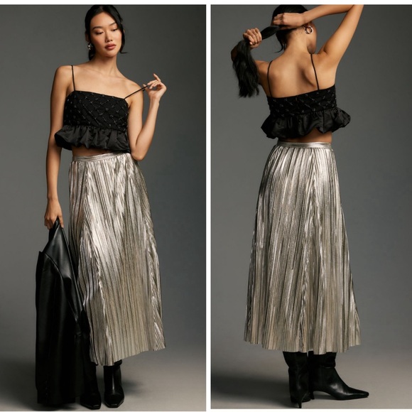 Anthropologie Dresses & Skirts - NWT Anthropologie Gigi Pleated Metallic Skirt